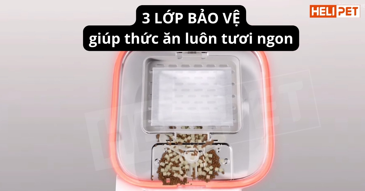 máy ăn có camera Petkit Solo YumShare