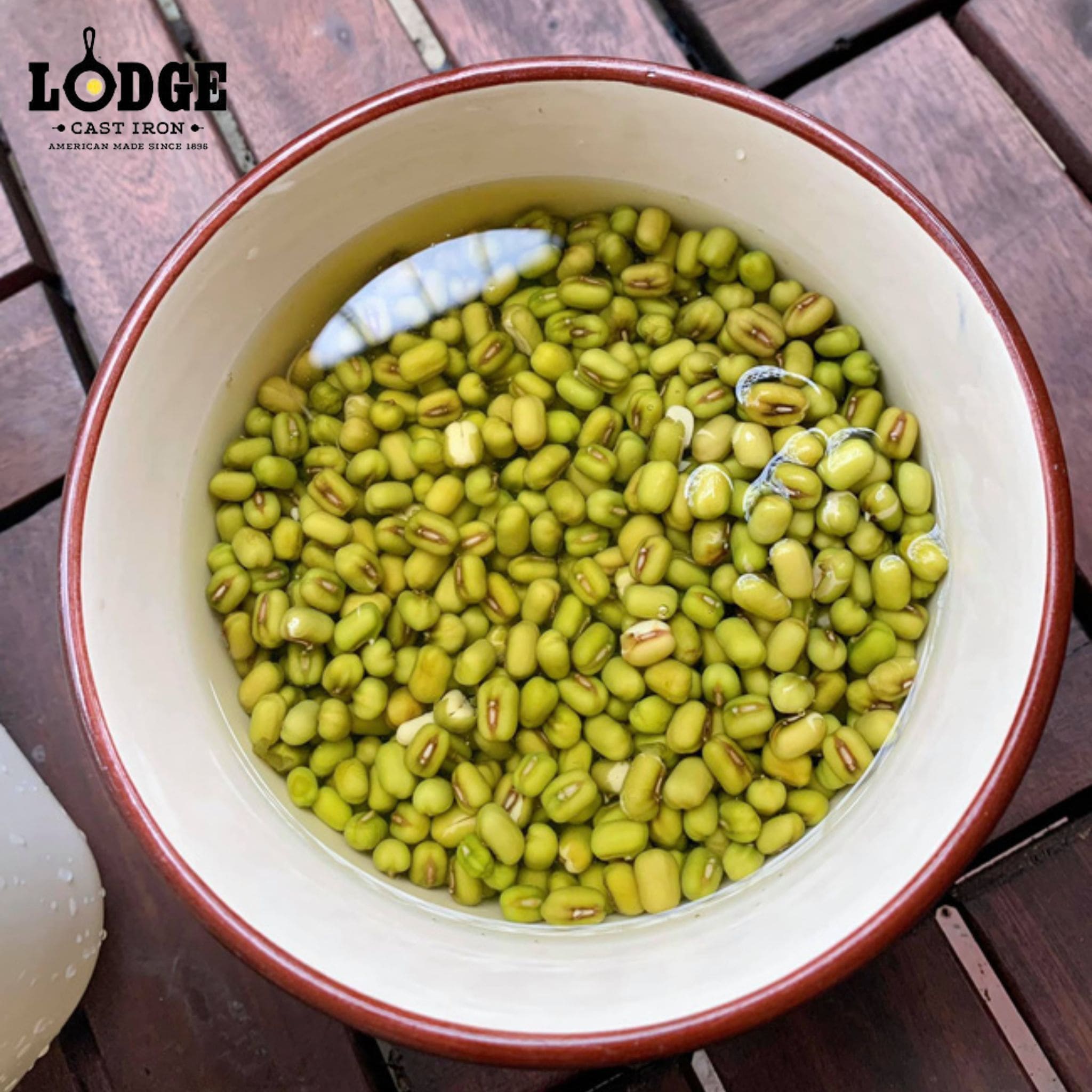 Ngâm đậu xanh trong nước sạch