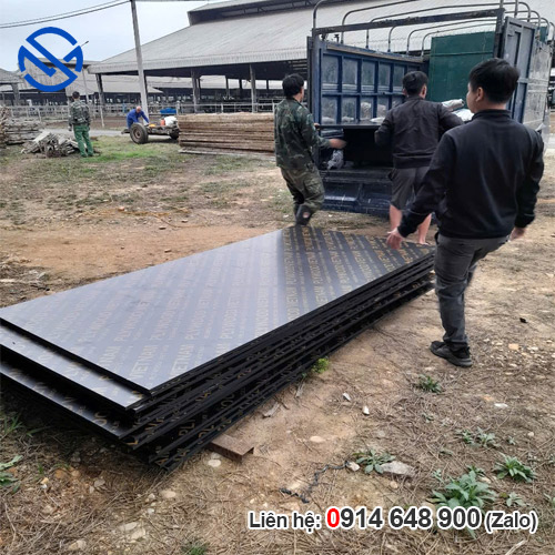 So sánh gỗ coffa công nghiệp và gỗ coffa tự nhiên