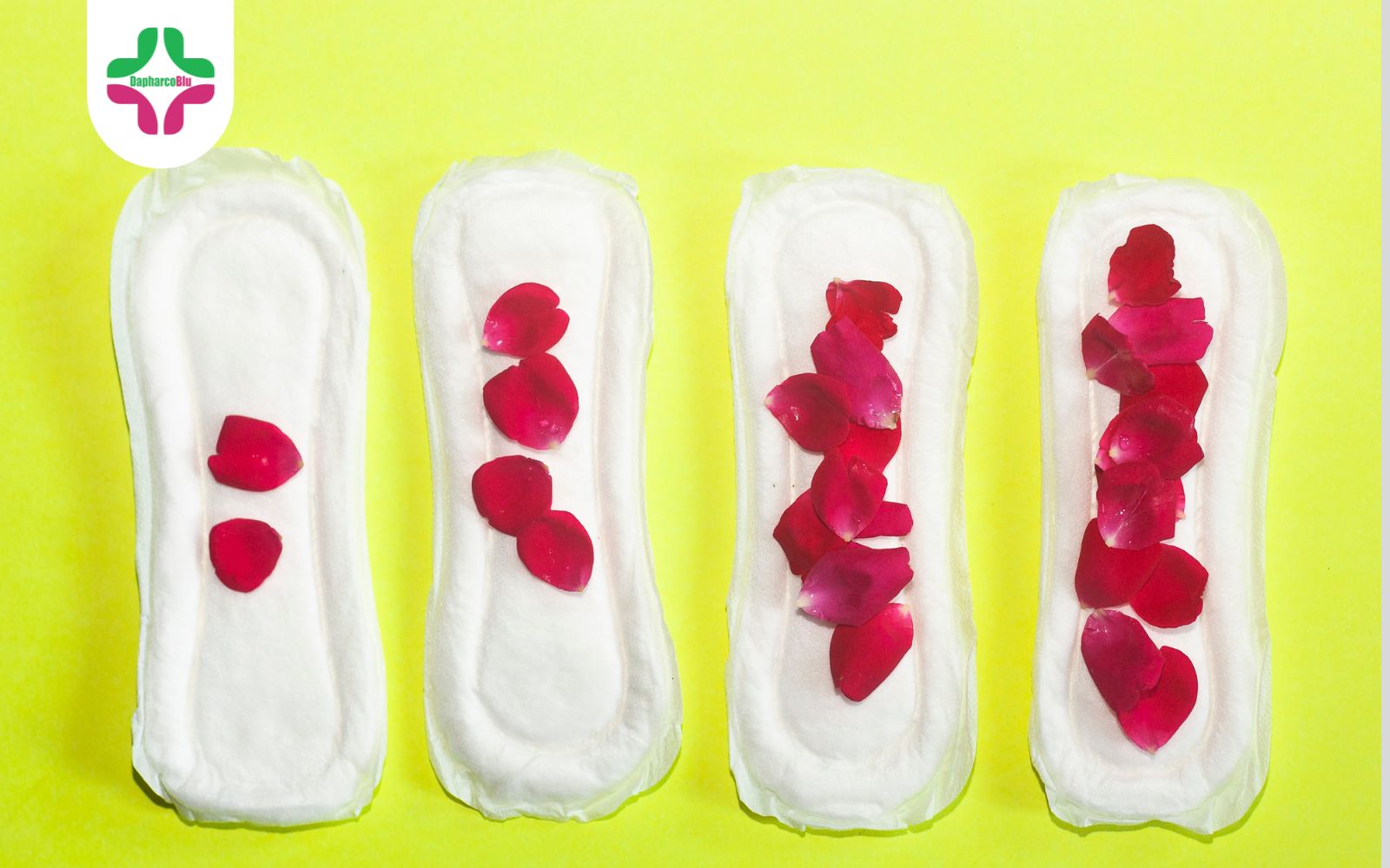 Chu Kỳ Kinh Nguyệt: Những Thông Tin Cơ Bản Mà Chị Em Cần Biết