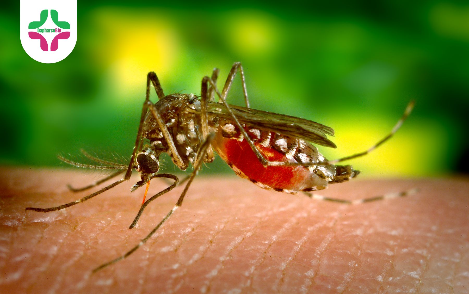 nhan-biet-som-sot-xuat-huyet-dung-bo-qua-nhung-dau-hieu-nay