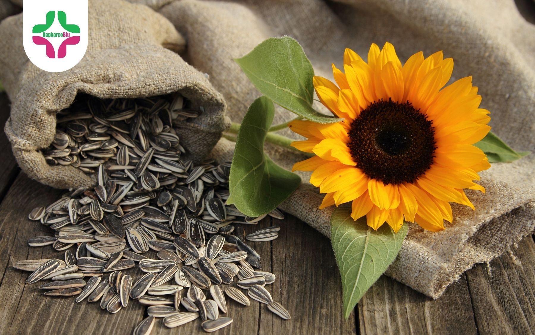 6-loai-hat-bo-sung-vitamin-b12-huu-ich-cho-nguoi-mo-mau-cao