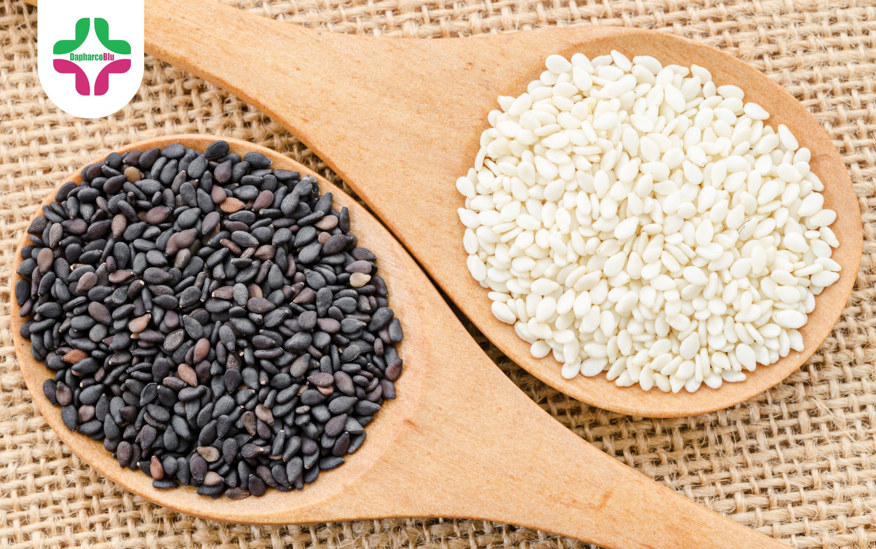 6-loai-hat-bo-sung-vitamin-b12-huu-ich-cho-nguoi-mo-mau-cao