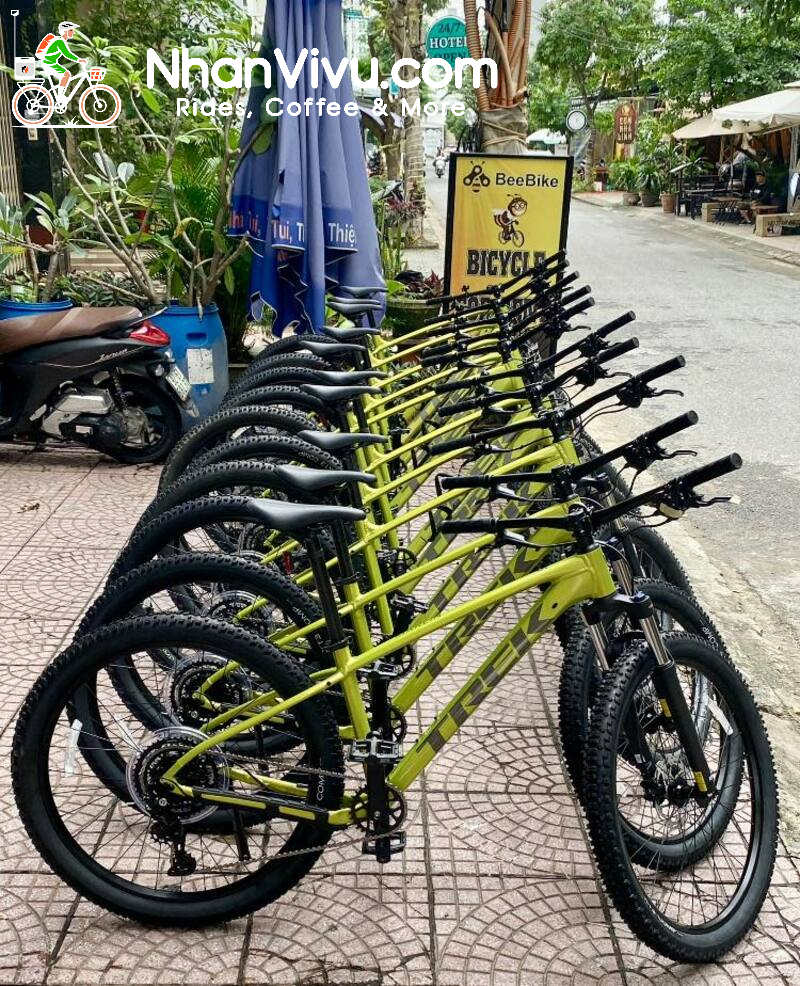 Cho thuê xe đạp uy tín tại đà nẵng