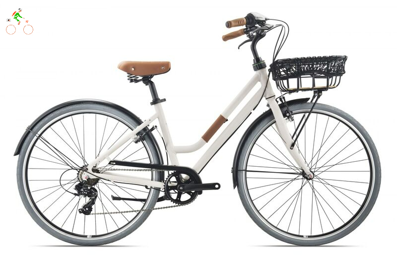 Momentum là thương hiệu xe đạp thuộc tập đoàn Giant, có xuất xứ từ Đài Loan.