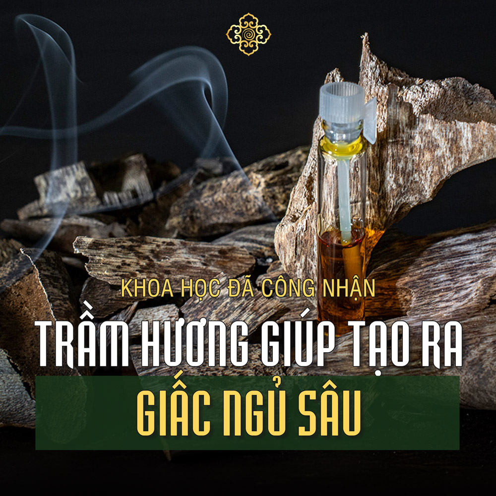 Trầm Hương Và Giấc Ngủ Sâu: Liệu Pháp Tự Nhiên Được Khoa Học Công Nhận