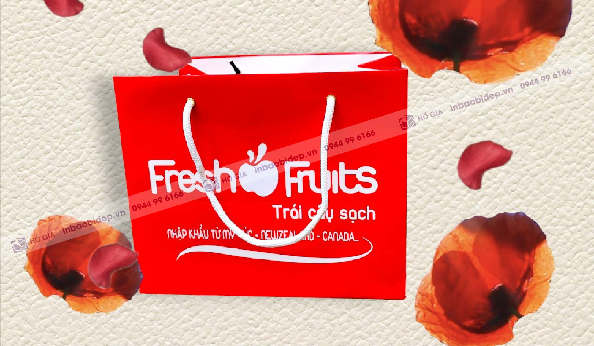 Túi giấy nhỏ bán sẵn đựng hoa quả thiết kế hiện đại