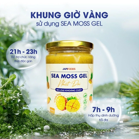 Cách bảo quản Sea Moss Gel lên men: lạnh bao nhiêu, dùng trong bao lâu?