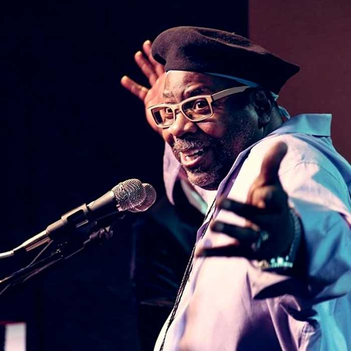 Micro cầm tay Telefunken M80 | Chính hãng - Trả góp 0%