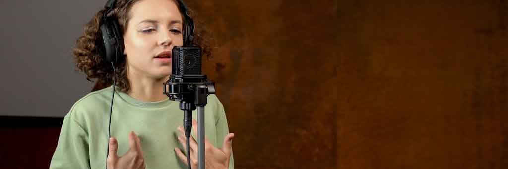 Micro thu âm Lewitt LCT 441 FLEX | Chính hãng - Trả góp 0%