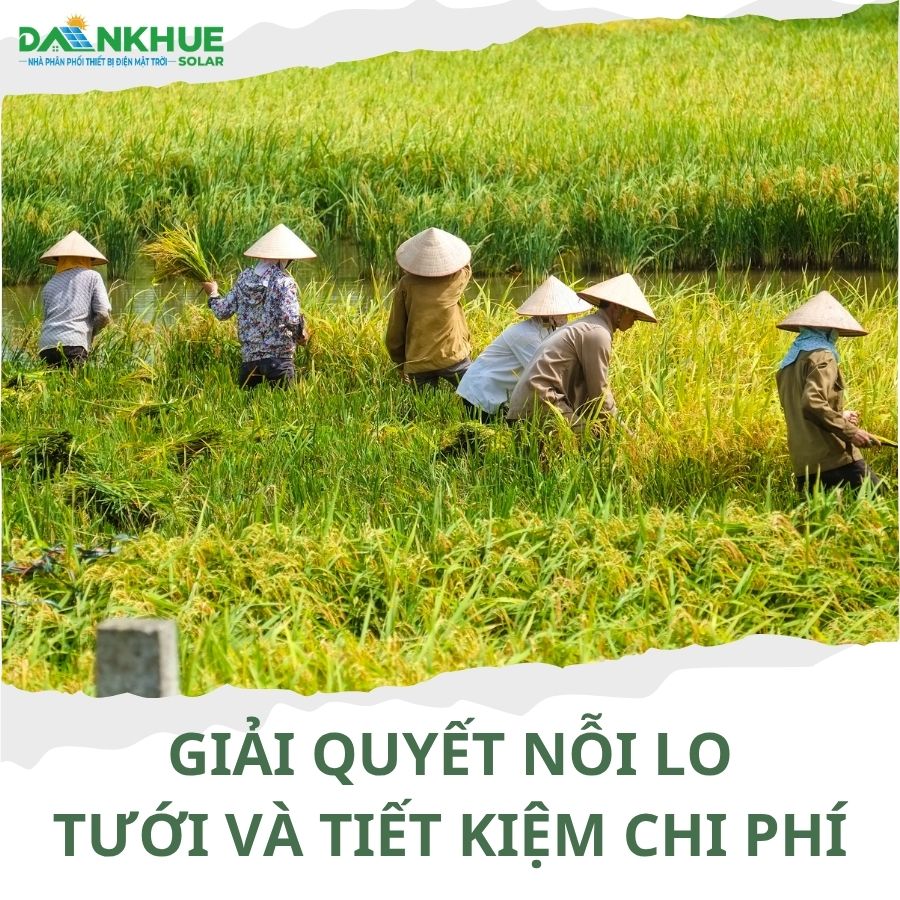 Giải pháp tưới nước điện mặt trời cho khu vực miền tây