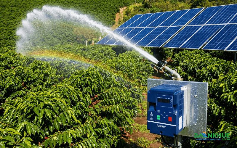Hệ thống bơm năng lượng đang hoạt động cho rẫy cà phê