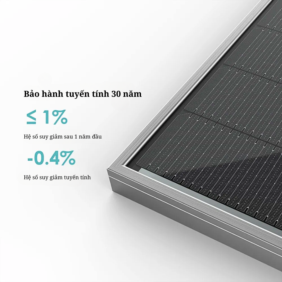 Tiger Neo N-type bảo hành tuyến tính 30 năm