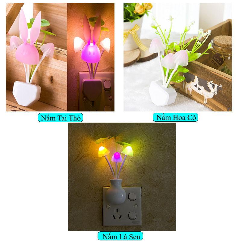 Địa Chỉ Mua Sỉ Đèn Ngủ Cảm Biến Ánh Sáng Hình Hoa Gắn Tường Tự Động Sáng Tắt Đèn LED RGB Tự Thay Đổi Độ Sáng Tại TPHCM