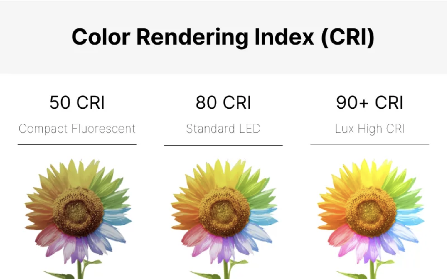 Ánh Sáng Nghệ Thuật Chiếu Sáng Triển Lãm