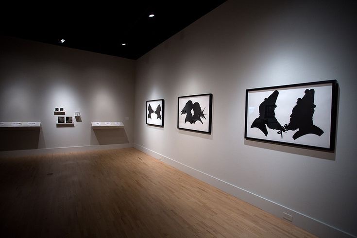 3 Loại Ánh Sáng Cơ Bản Trong Chiếu Sáng