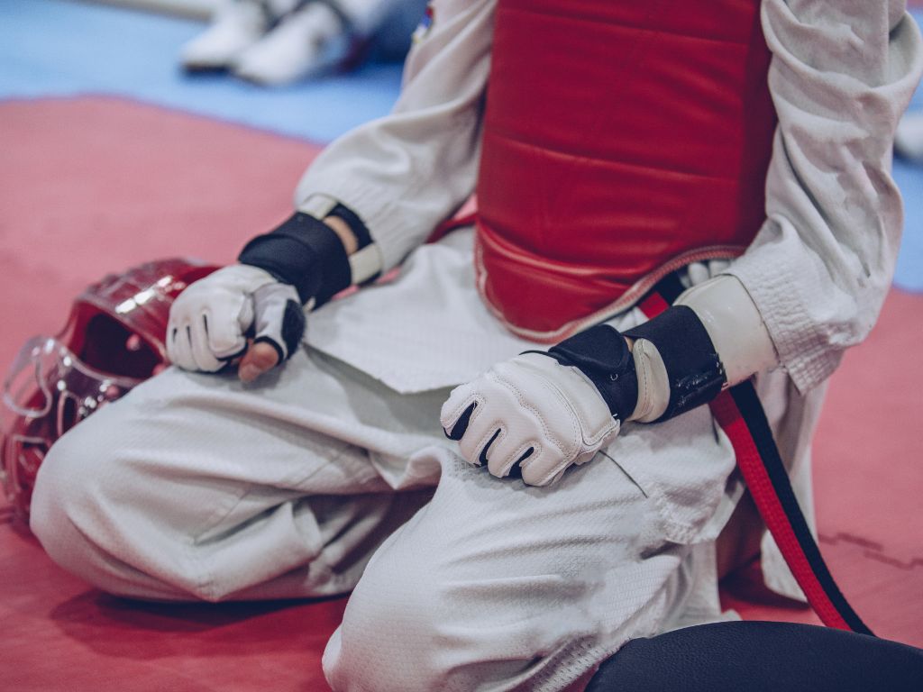 học võ Taekwondo tại nhà