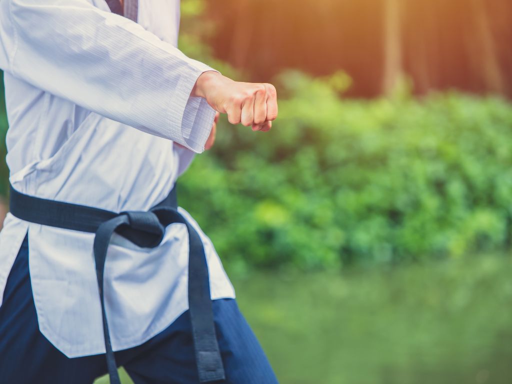 học võ Taekwondo tại nhà