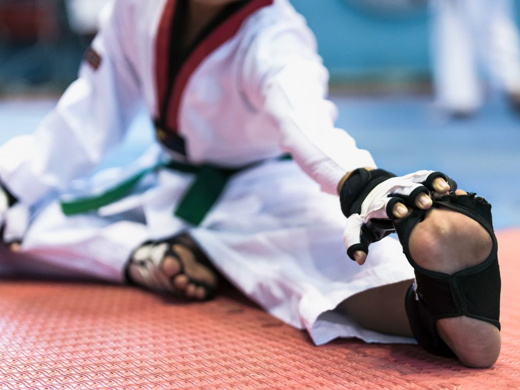 học võ Taekwondo tại nhà
