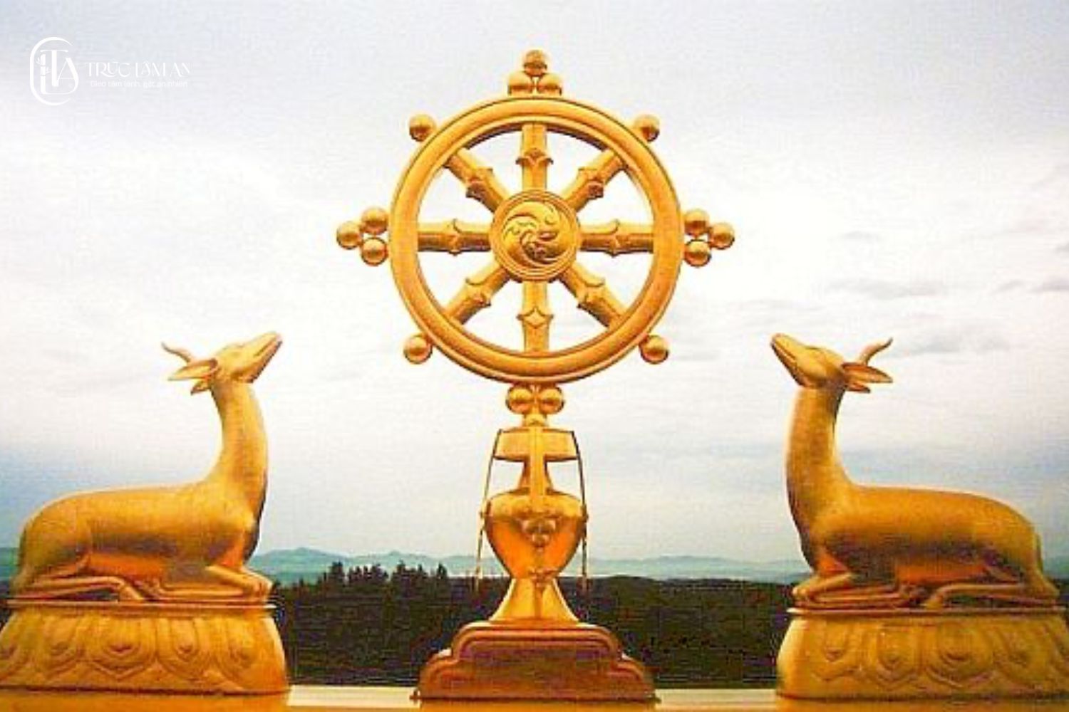 Bánh xe pháp là một trong 8 biểu tượng linh thiêng và ý nghĩa của Phật giáo