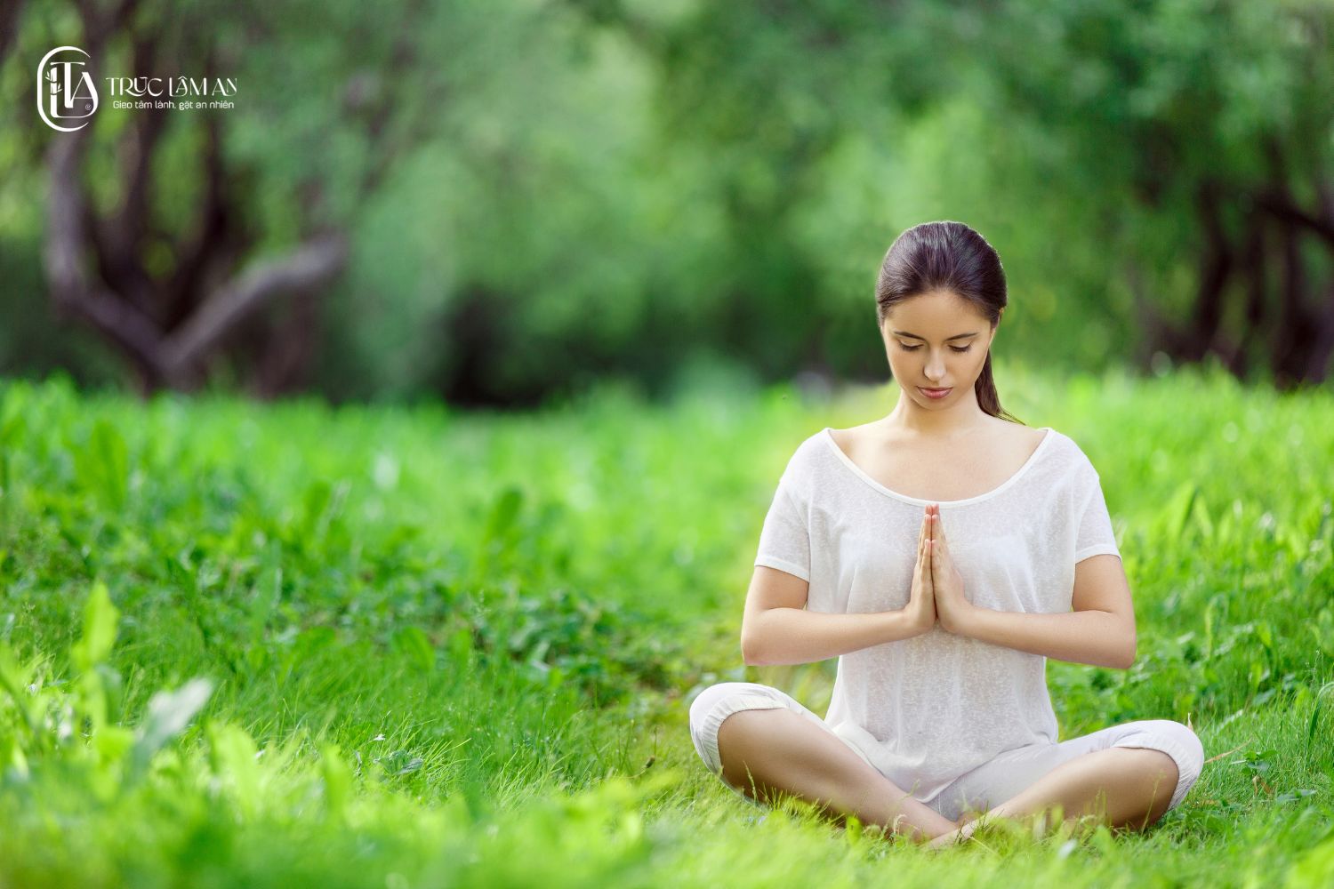 Thiền và thiên nhiên – Mối giao cảm sâu sắc