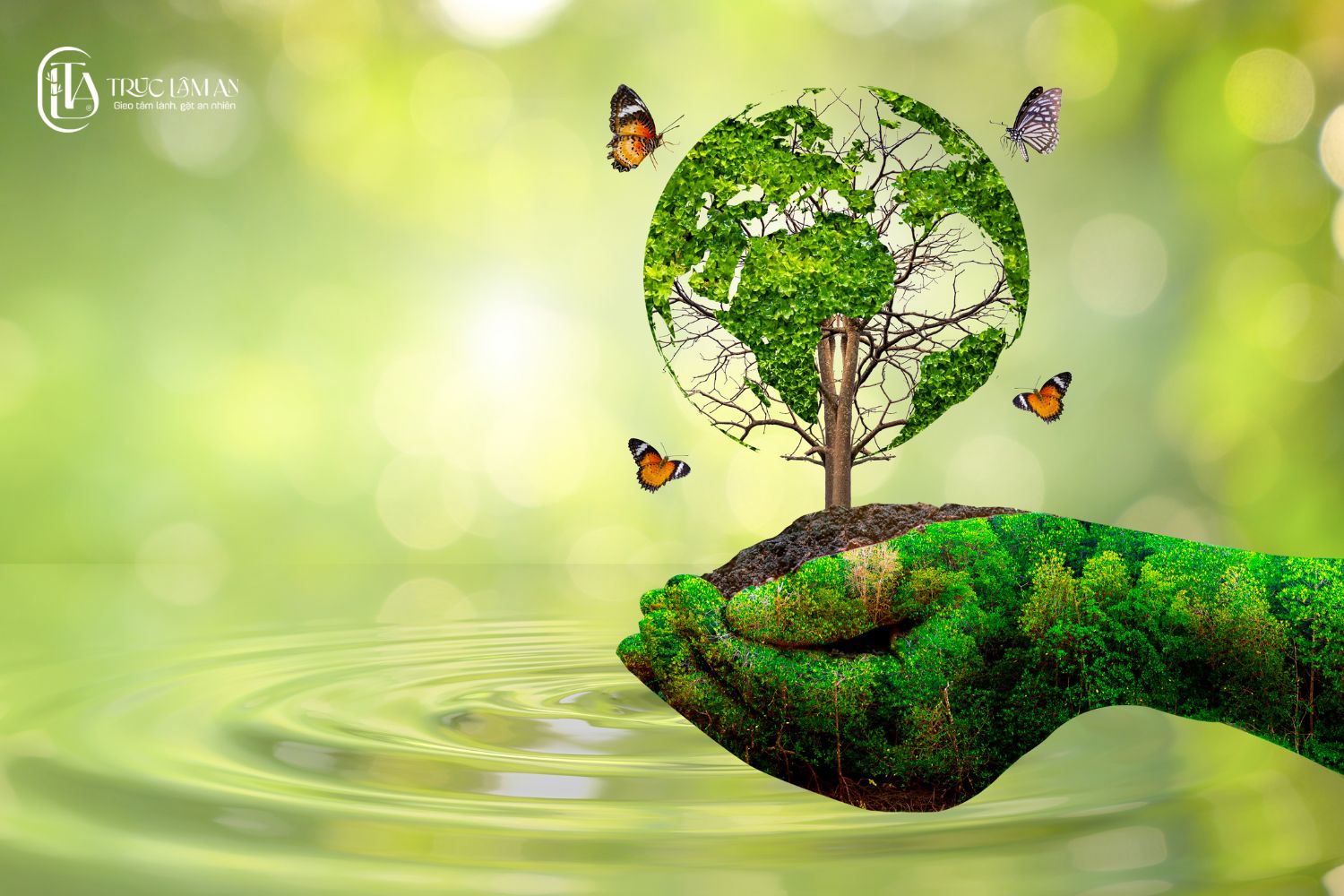 Từ bi với muôn loài – Cốt lõi của đạo Phật