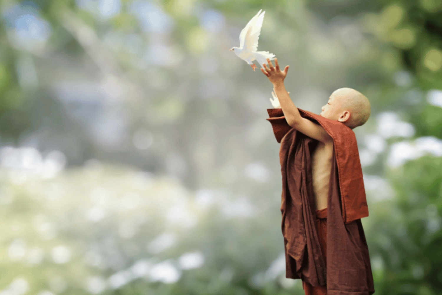 Văn khấn phóng sinh đơn giản, dễ nhớ