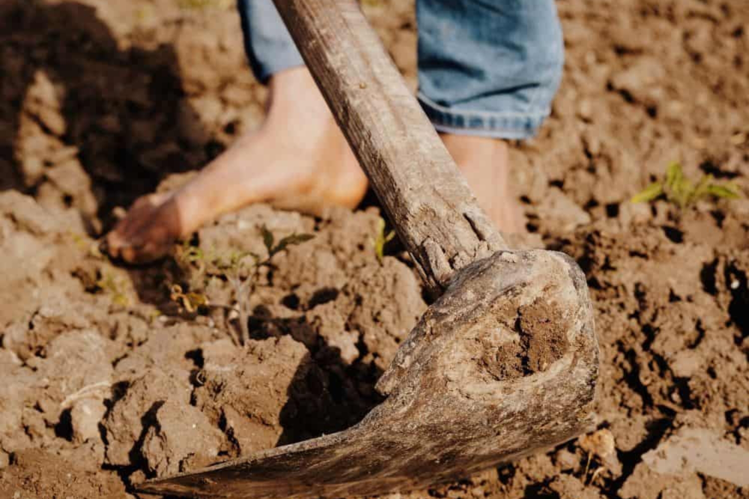 Ý nghĩa của việc cuốc đất động thổ