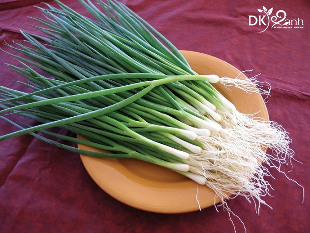 Chữa bí tiểu sau sinh bằng hành tươi