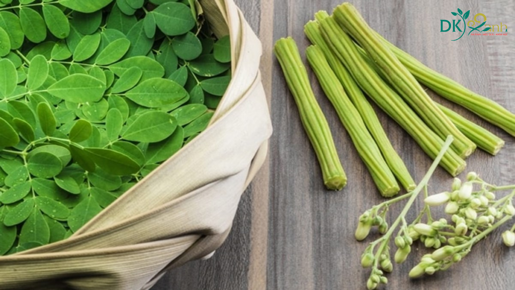 Lá, hoa và quả của cây Chùm ngây