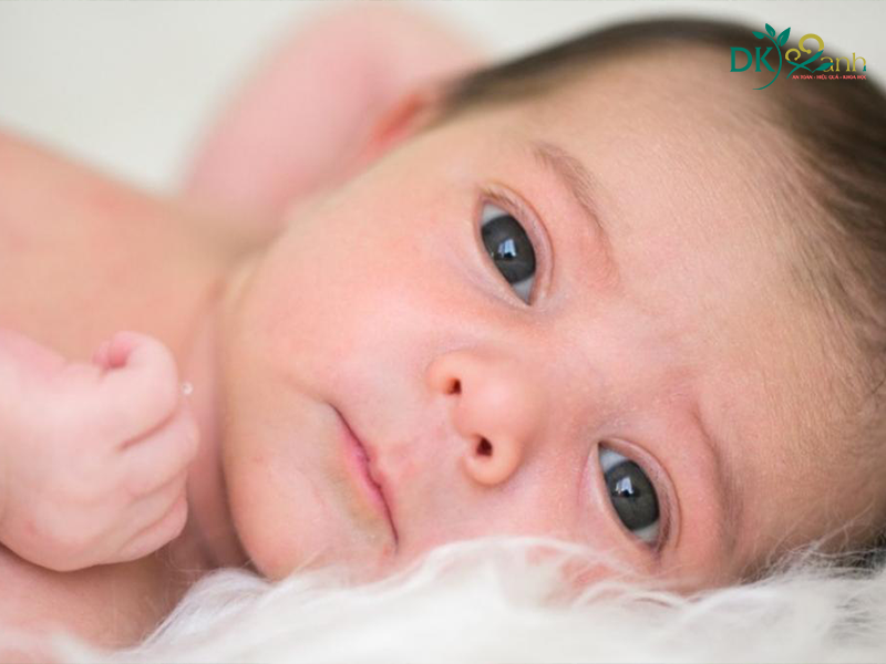 Môi trường và điều kiện sống