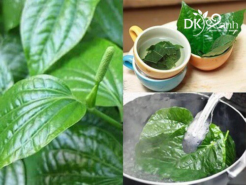 Nước tắm lá trầu không