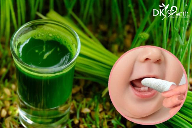 Rơ lưỡi bằng lá hẹ