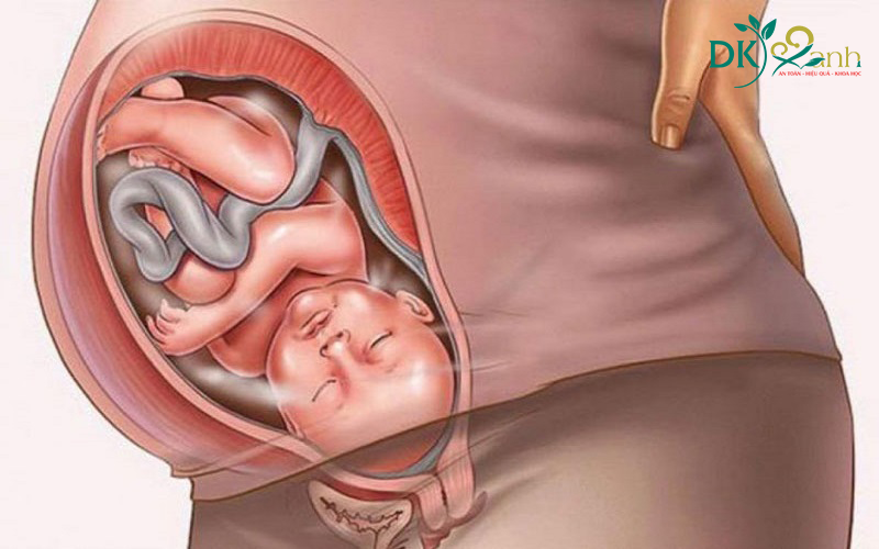 Sự phát triển của thai nhi trong tháng cuối thai kì