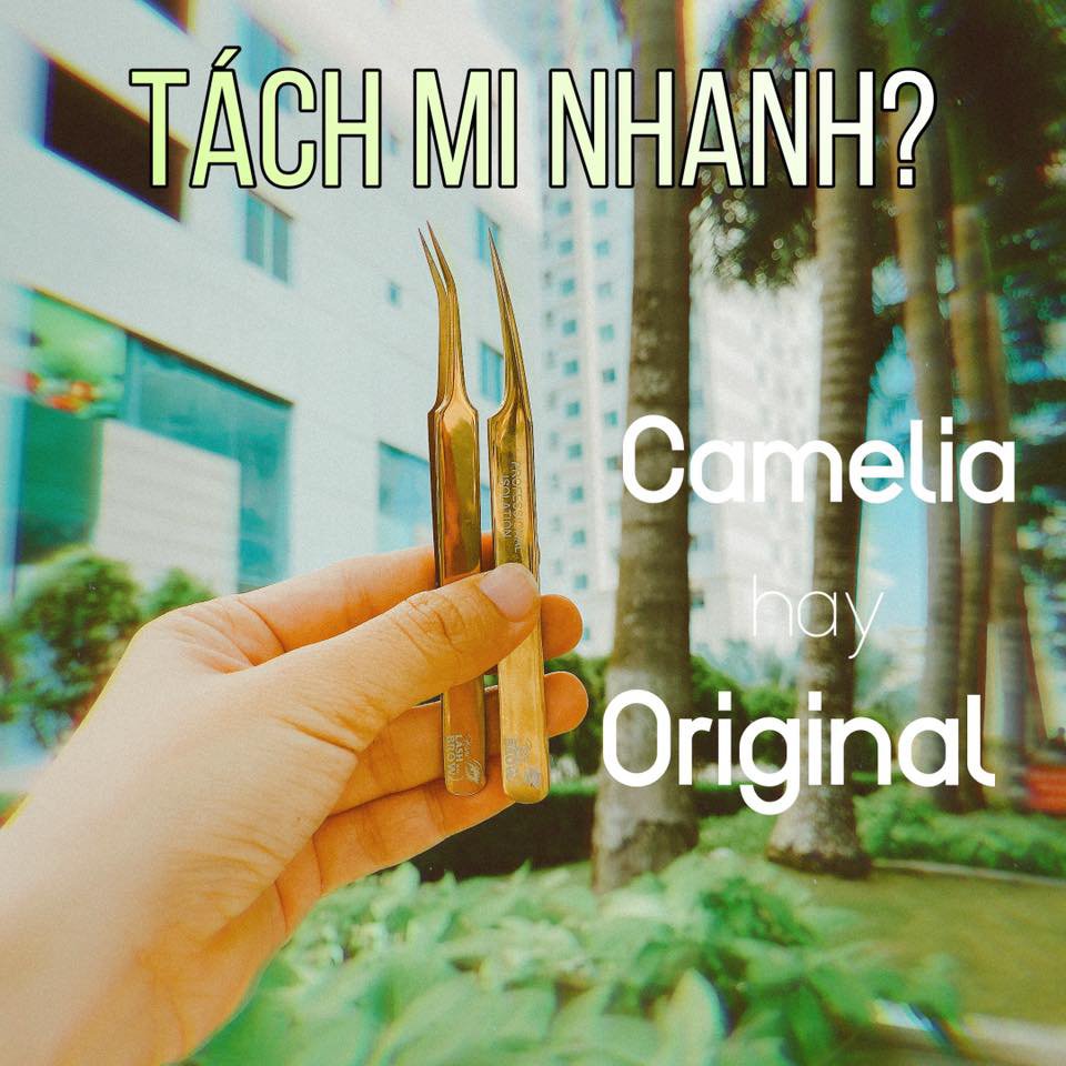 Nhíp tách mi truyền thông