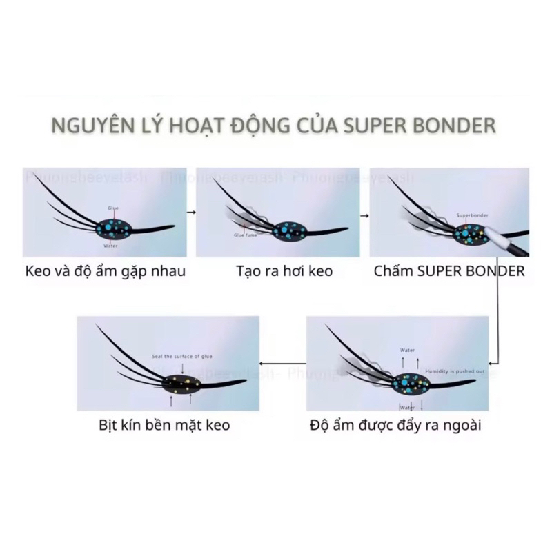Super Bonder dưỡng bền Mi Nối