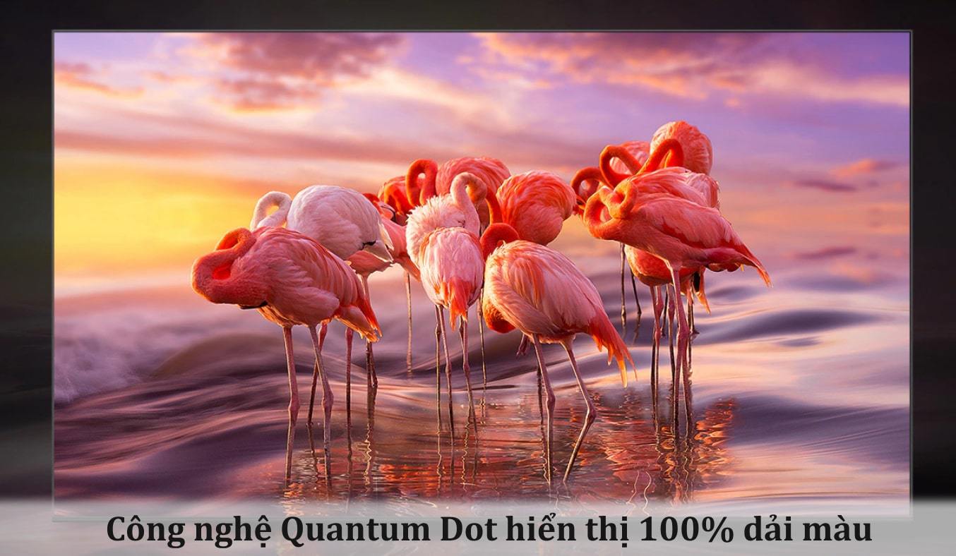 Smart Tivi QLED Samsung 4K 43 inch QA43Q60BA