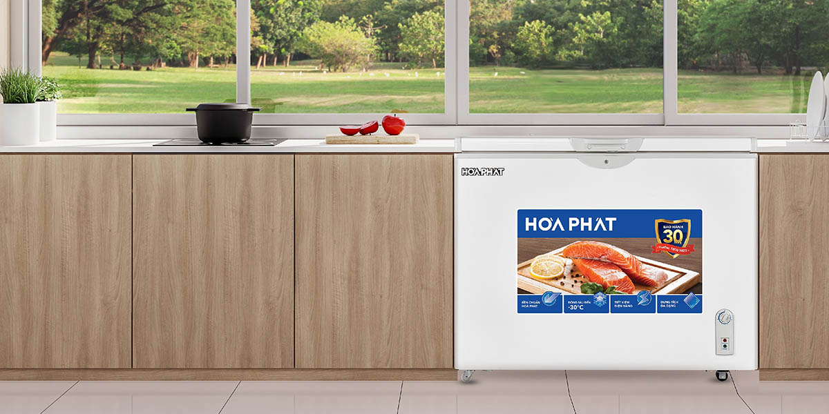 Tủ Đông Hòa Phát 252 Lít HPF AD6252 sở hữu thiết kế tối giản