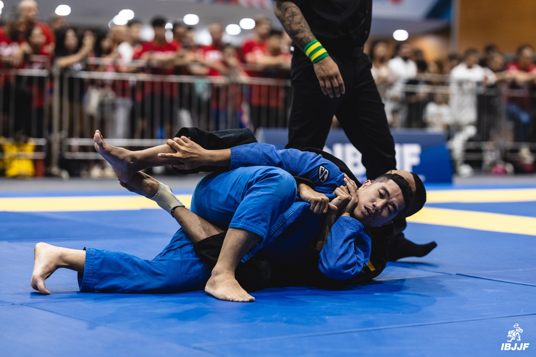 TheGIS - Jiu-Jitsu Vietnam - Võ phục BJJ