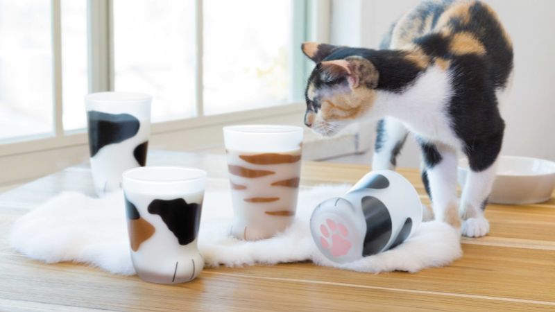 ly coc thuy tinh lam qua tang ngay phu nu viet nam 20 10