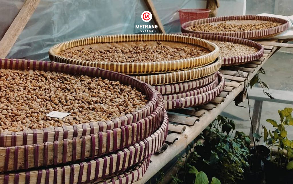 cà phê Việt Nam, cà phê mê trang, cà phê robusta, cà phê arabica, cà phê hạt, cà phê pha máy, cà phê bột, cà phê sạch, cà phê cao cấp, cà phê hòa tan, cà phê hút chân không, cà phê đặc sản, cà phê chế biến ướt, OEM coffee, ODM coffee