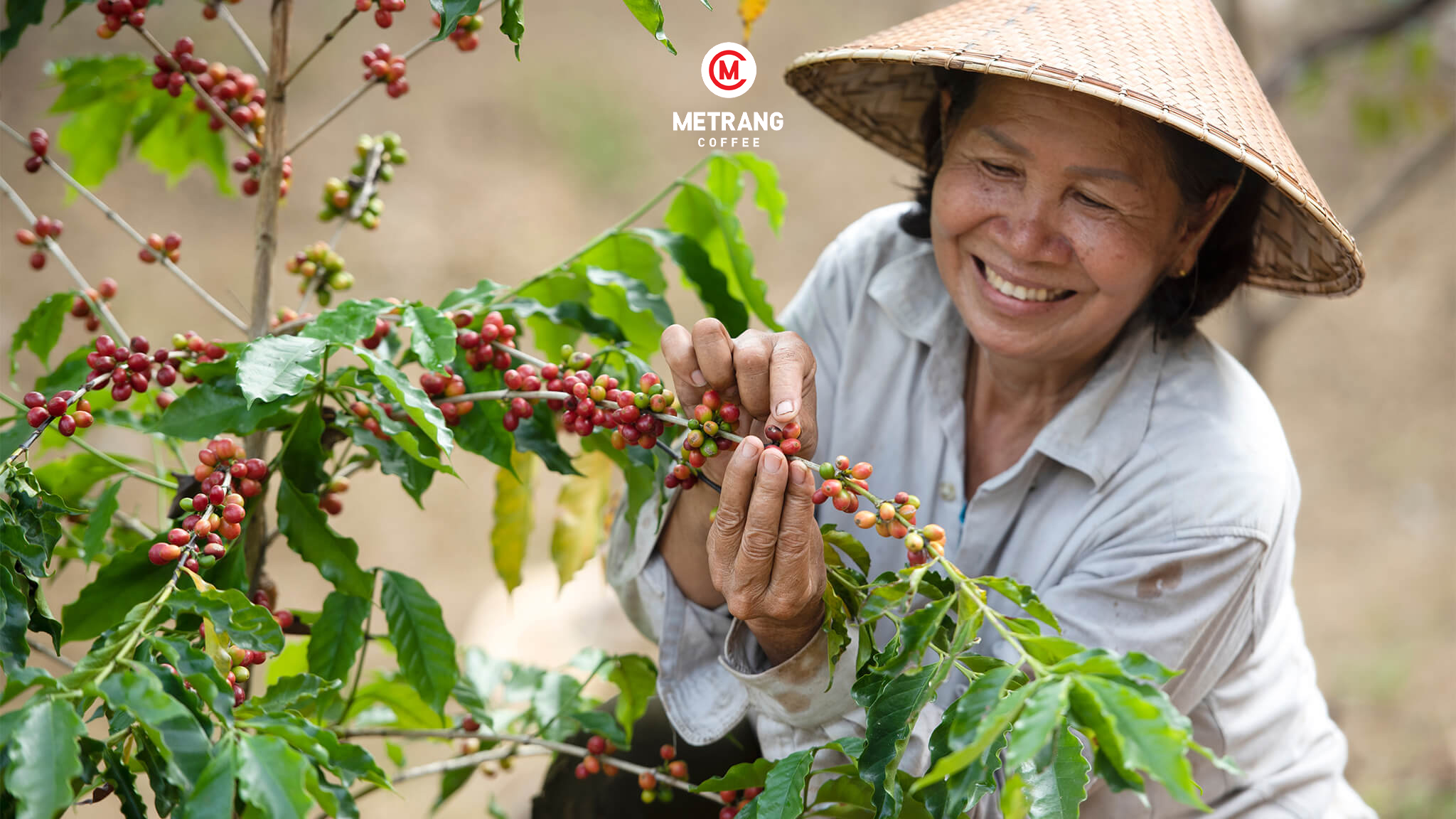 cà phê Việt Nam, cà phê mê trang, cà phê robusta, cà phê arabica, cà phê hạt, cà phê pha máy, cà phê bột, cà phê sạch, cà phê cao cấp, cà phê hòa tan, cà phê hút chân không, cà phê đặc sản, cà phê chế biến ướt, OEM coffee, ODM coffee