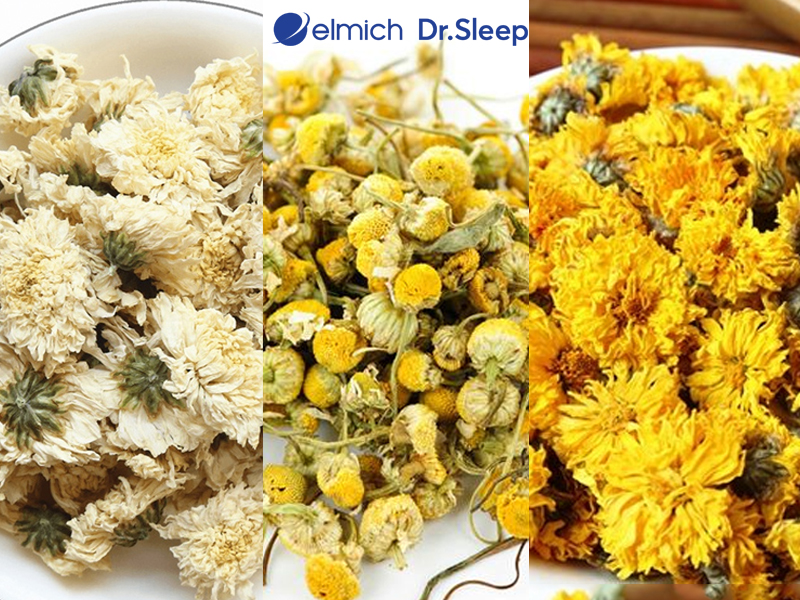 Các loại trà hoa cúc phổ biến