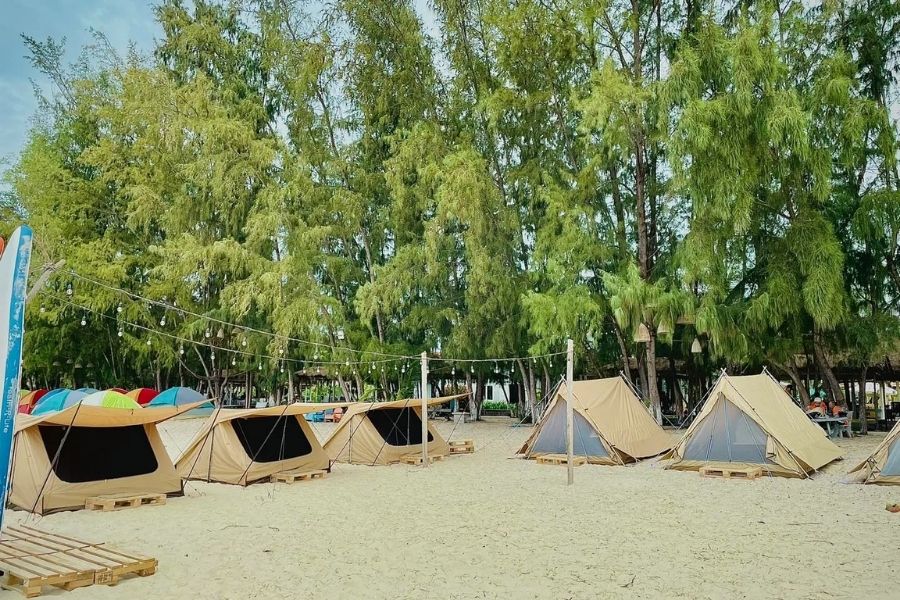 Hoạt động cắm trại trên bãi biển