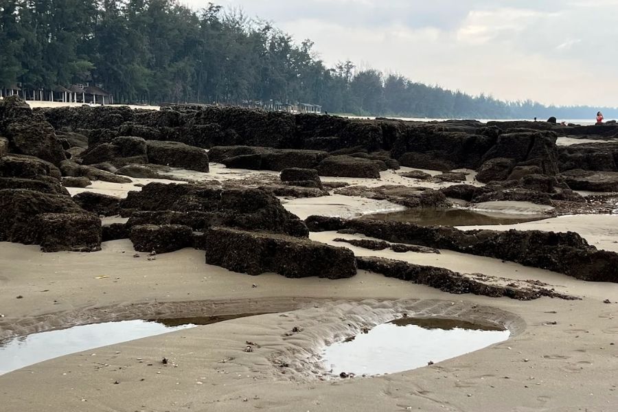 Khám phá vẻ đẹp của bãi Đá Đen Quảng Ninh