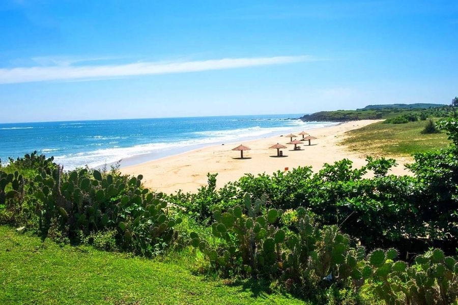 Vẻ đẹp của bãi Xép Phú Yên