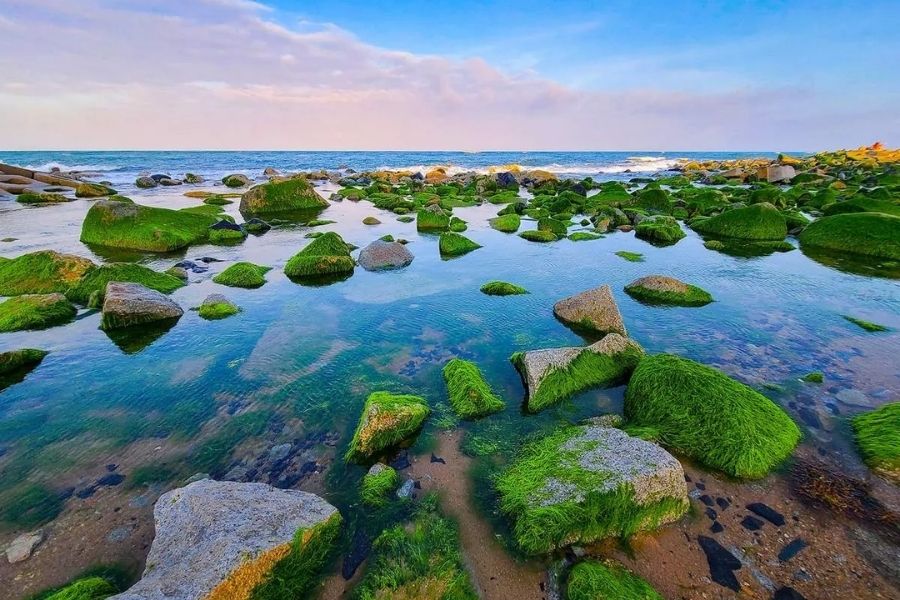 Bờ kè xóm Rớ Phú Yên