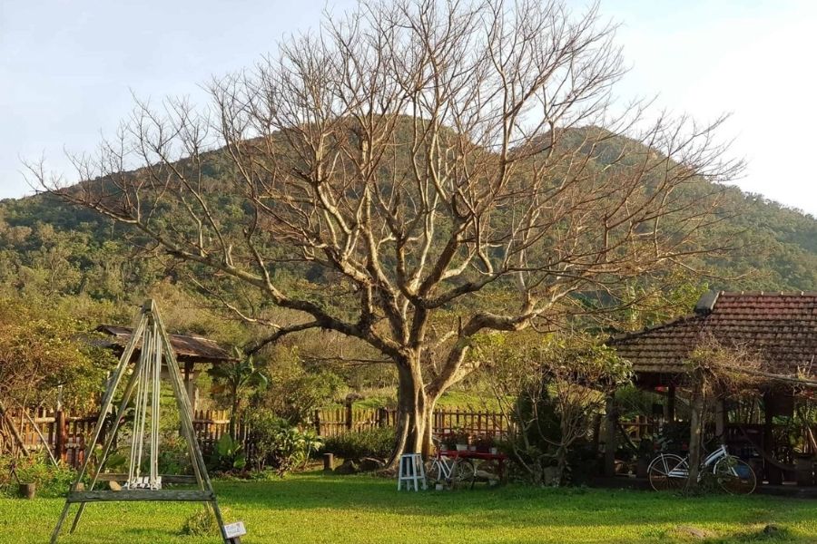 Khám phá nông trại B&U ở Phú Yên