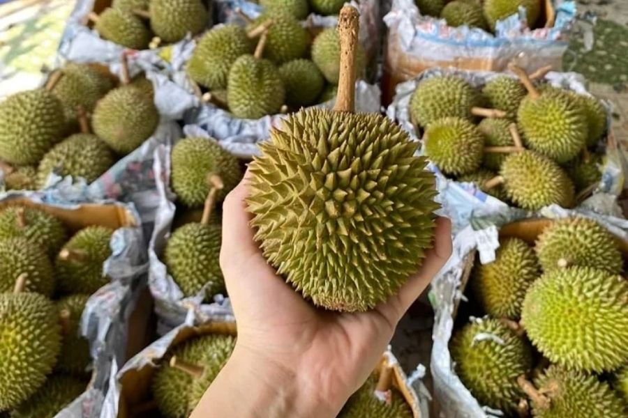 Các món đặc sản Phú Yên ngon, nổi tiếng