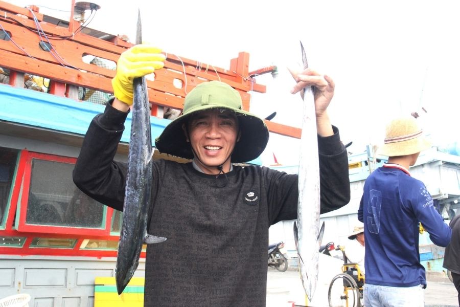 Khám phá vẻ đẹp chân chất tại cảng cá Phú Lạc Phú Yên